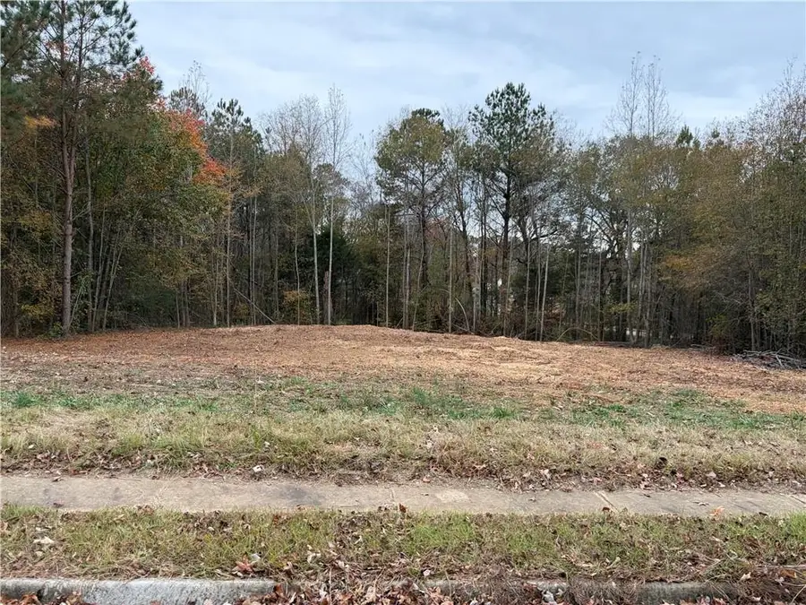 1105 Patriot Circle, McDonough, GA 30252 - Image #3