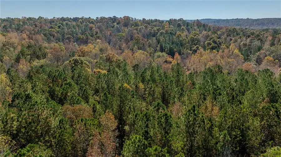 0 Jones Ferry Road #Lot 1, Chattahoochee Hills, GA 30268 - Image #3