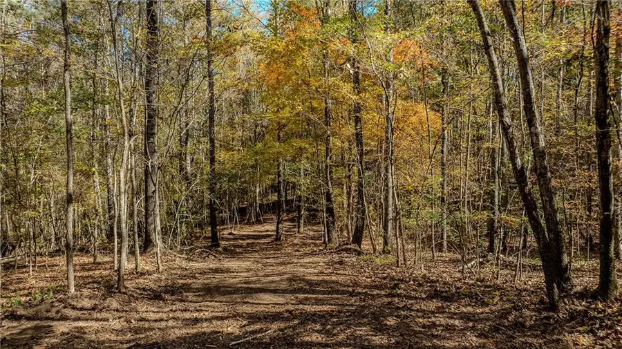0 Jones Ferry Road #Lot 2, Chattahoochee Hills, GA 30268 - Image #3