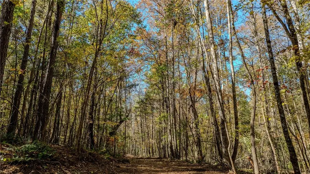 0 Jones Ferry Road #LOt 3, Chattahoochee Hills, GA 30268 - Image #1