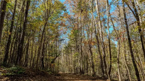 0 Jones Ferry Road #LOt 3, Chattahoochee Hills, GA 30268