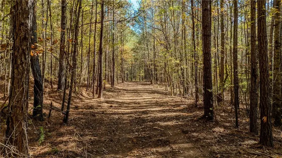 0 Jones Ferry Road #LOt 3, Chattahoochee Hills, GA 30268 - Image #3