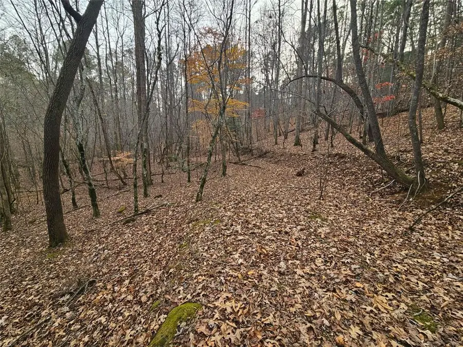 0 Garnet Drive, Ellijay, GA 30540 - Image #2