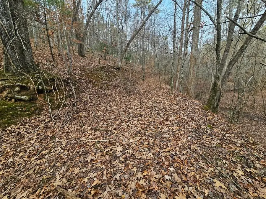 0 Garnet Drive, Ellijay, GA 30540 - Image #3