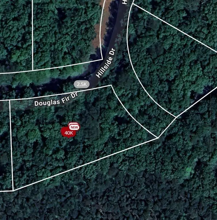 101 Douglas Fir Drive, Waleska, GA 30183 - Image #1