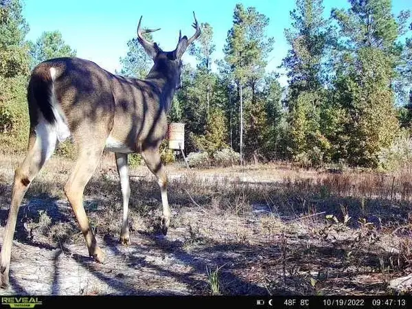 0 Indian Trail Road, Sandersville, GA 31082