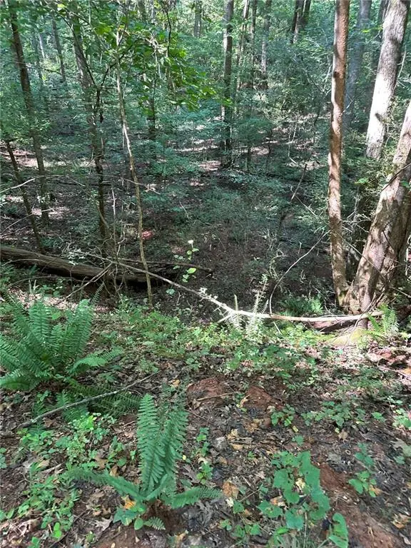 00 Fears Road, Madison, GA 30650 - #3