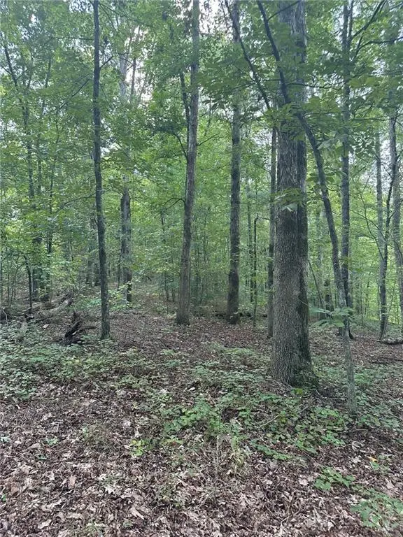 0 Fears Road, Madison, GA 30650 - #2