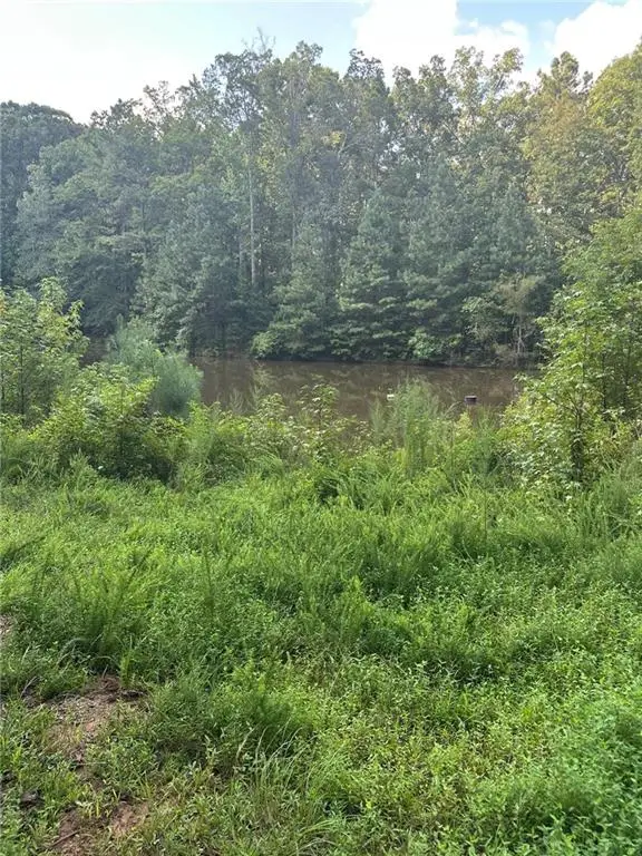 0 Fears Road, Madison, GA 30650 - #3