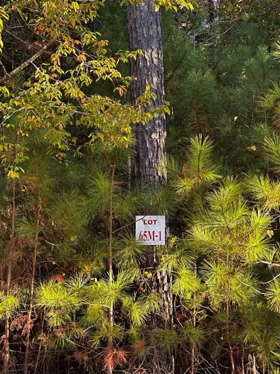 Lot 65 Green Terrace, Newnan, GA 30265 - Image #2