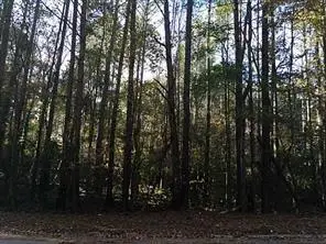 3627 Springtree Drive, Lithonia, GA 30038 - Image #3