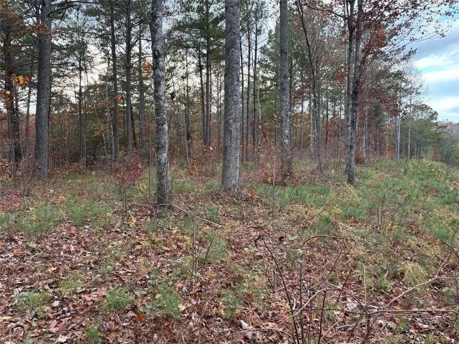 447 Woodward Way, Talking Rock, GA 30175 - Image #3