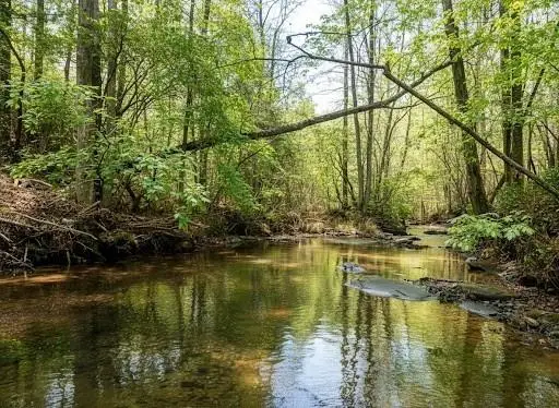 2468 Twisted Oak Road, Talking Rock, GA 30175 - Image #2