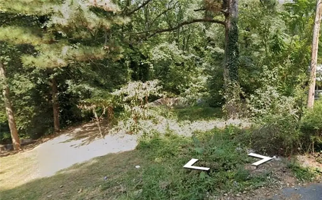 2319 Tiger Flowers Drive Nw, Atlanta, GA 30314 - Image #1