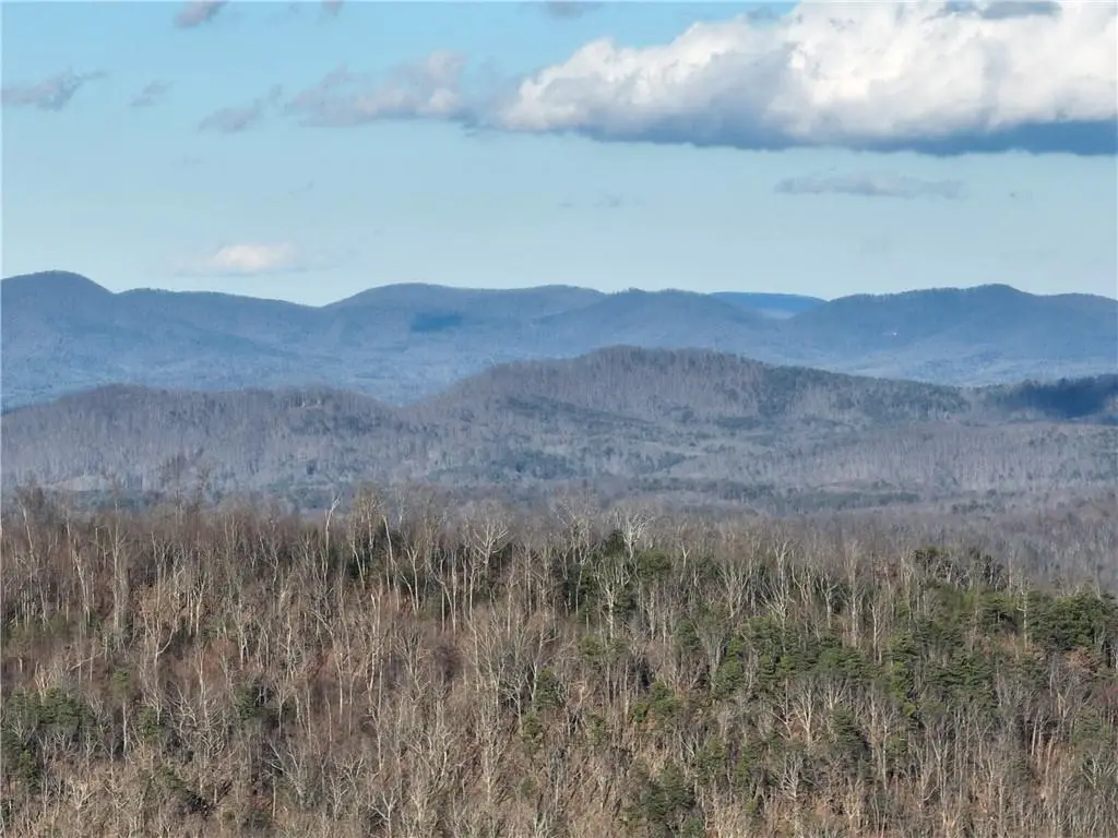 281 Andes Ridge, Ellijay, GA 30536 - #1