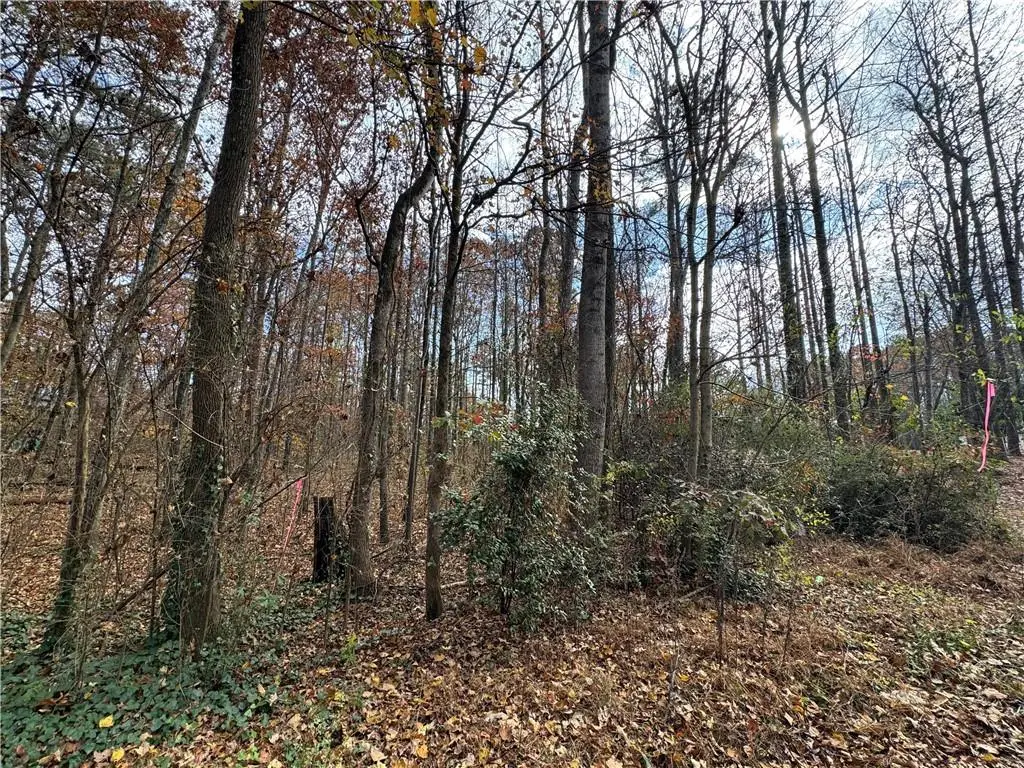 0 Hamby Road, Acworth, GA 30102 - Image #1