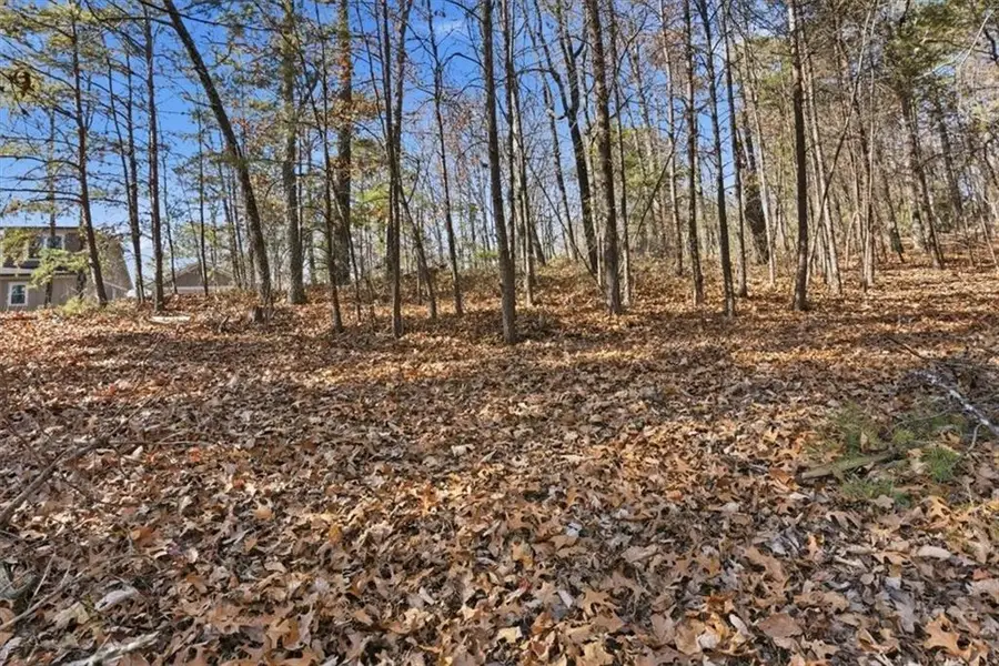 1166 Hunter Drive, Ranger, GA 30734 - Image #3