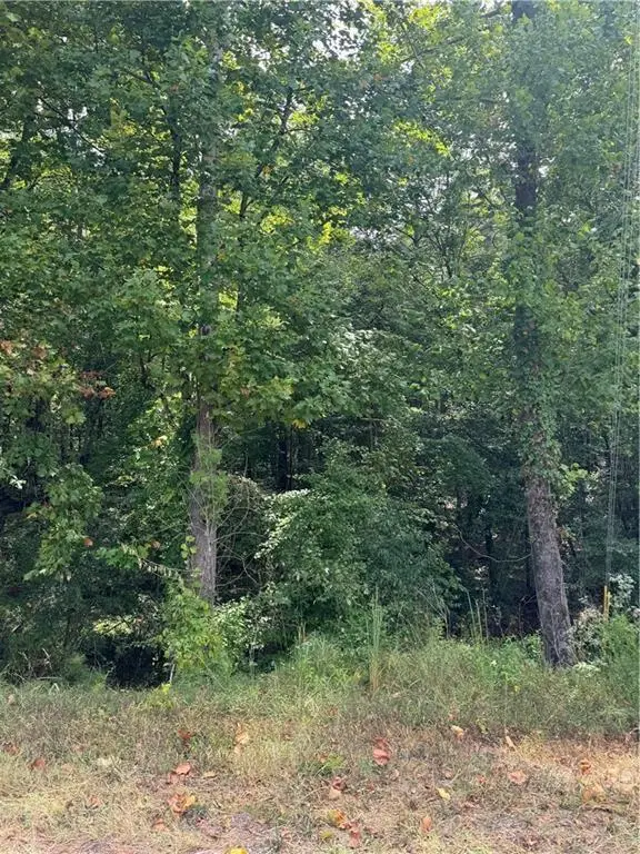 0 Cole Lake Road, Dallas, GA 30157 - #1