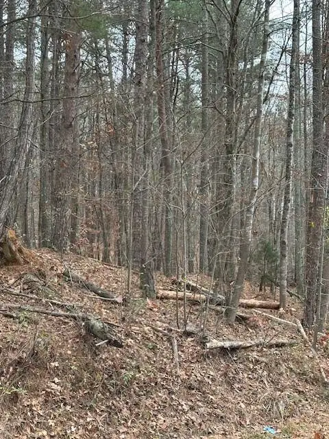 0 Cole Lake Road, Dallas, GA 30157 - #3