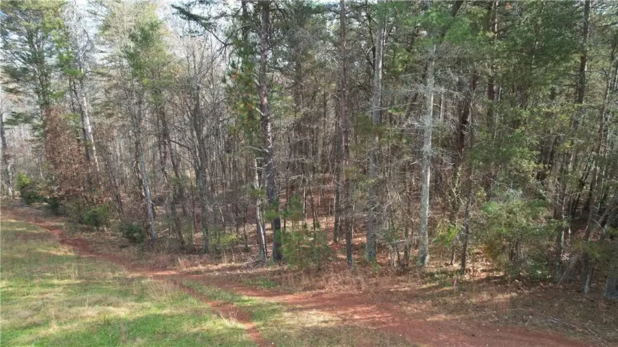 0000 Blackburn Tract 3a Road, Dawsonville, GA 30534 - Image #2