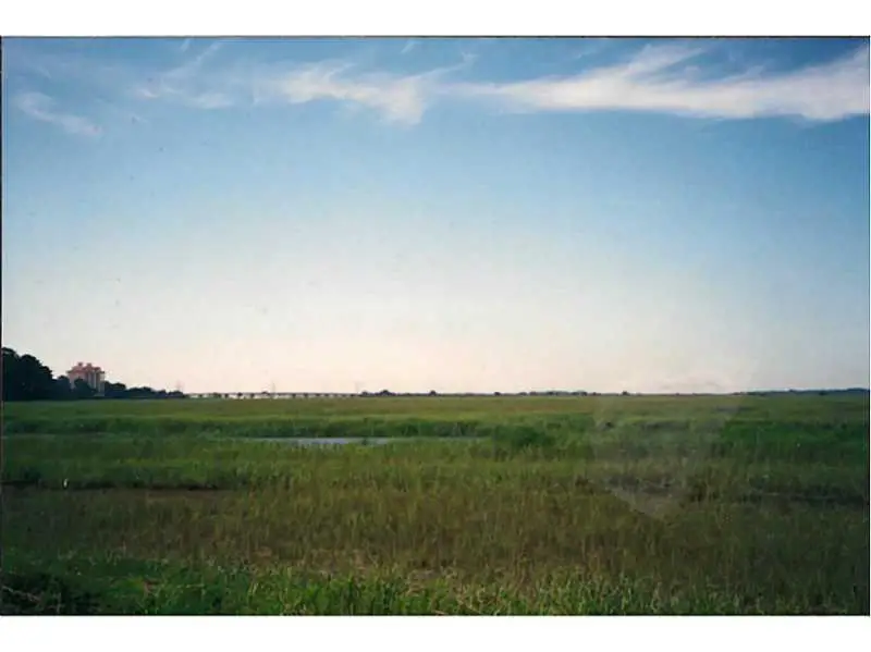 4 Highwater Court, Savannah, GA 31410 - Image #2