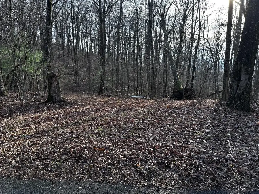 32 Andes Ridge, Jasper, GA 30143 - #2