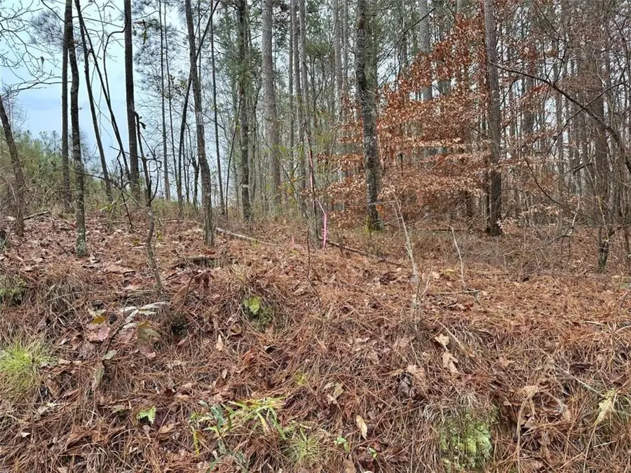 0 County Road 59, Heflin, AL 36264 - Image #2