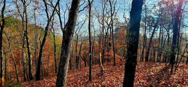 561 Parable Court, Ranger, GA 30734