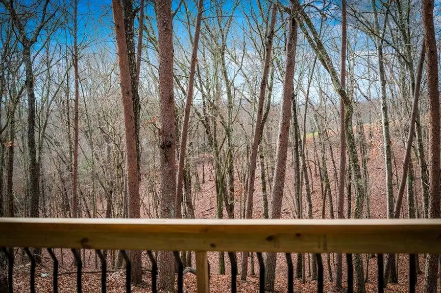 2393 Ada Street, Blue Ridge, GA 30513 - Image #3