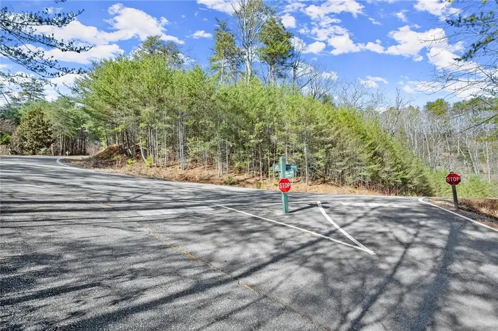 1001 Black Bear Trail, Big Canoe, GA 30143 - Image #1