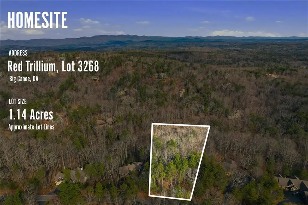 3268 Red Trillium Ridge, Big Canoe, GA 30143 - #1