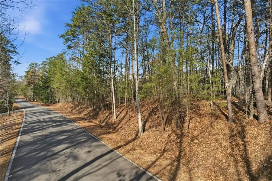 3268 Red Trillium Ridge, Big Canoe, GA 30143 - #2