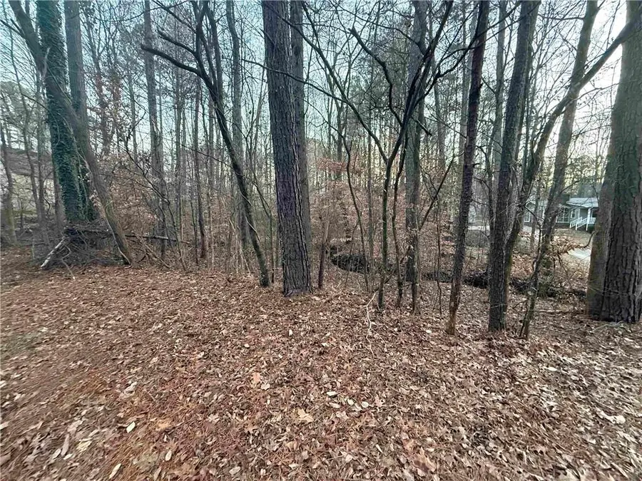 00 Marty Lane, Dallas, GA 30157 - Image #3