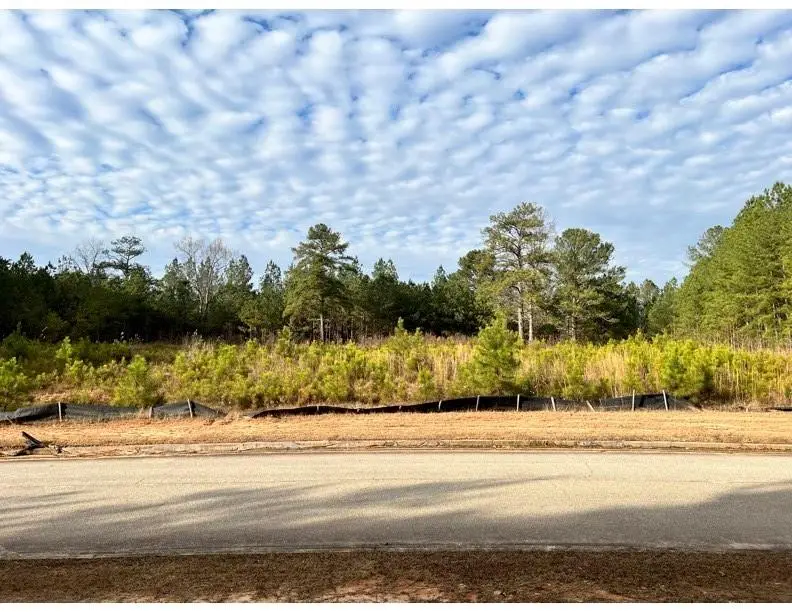 4249 Giverney Boulevard, Fairburn, GA 30213 - Image #2