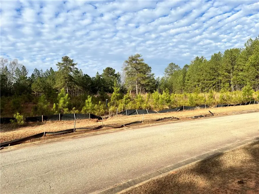 4249 Giverney Boulevard, Fairburn, GA 30213 - Image #3