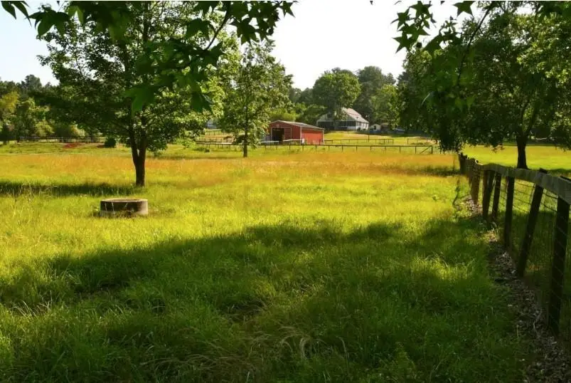 750 Winding Creek Trail, Dacula, GA 30019 - Image #3