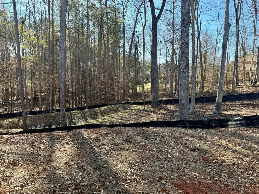 310 Evie Drive, Canton, GA 30015 - Image #3