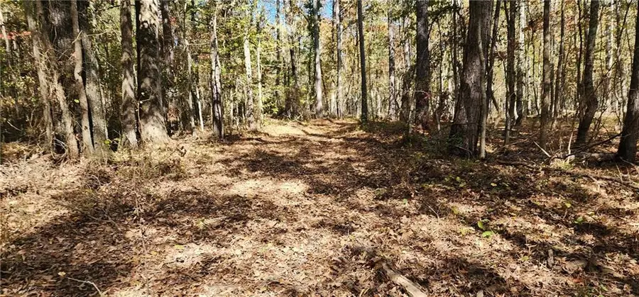 0 Hwy 411, Rome, GA 30161 - #3