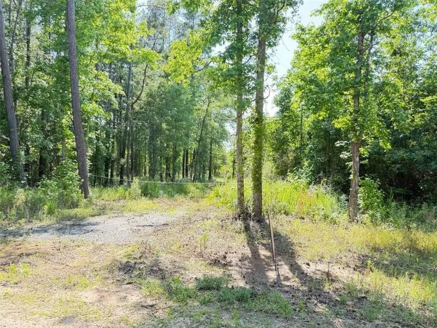 0 Perkins Road, Barnesville, GA 30204 - #3