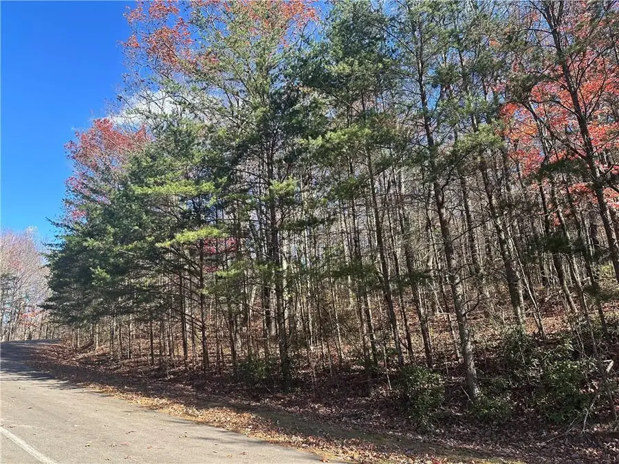 503 Saint Andrews Way, Ellijay, GA 30536 - Image #2