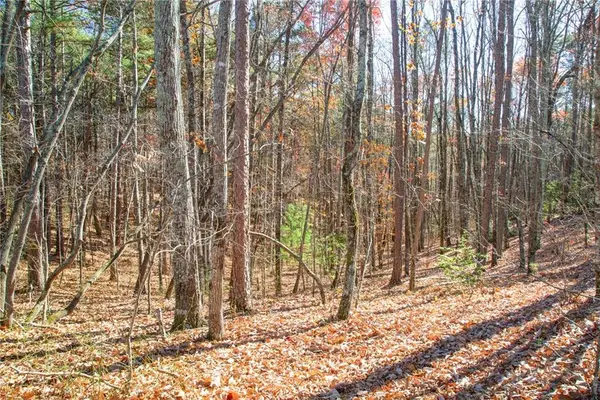 119 Waldrip Drive, Dawsonville, GA 30536