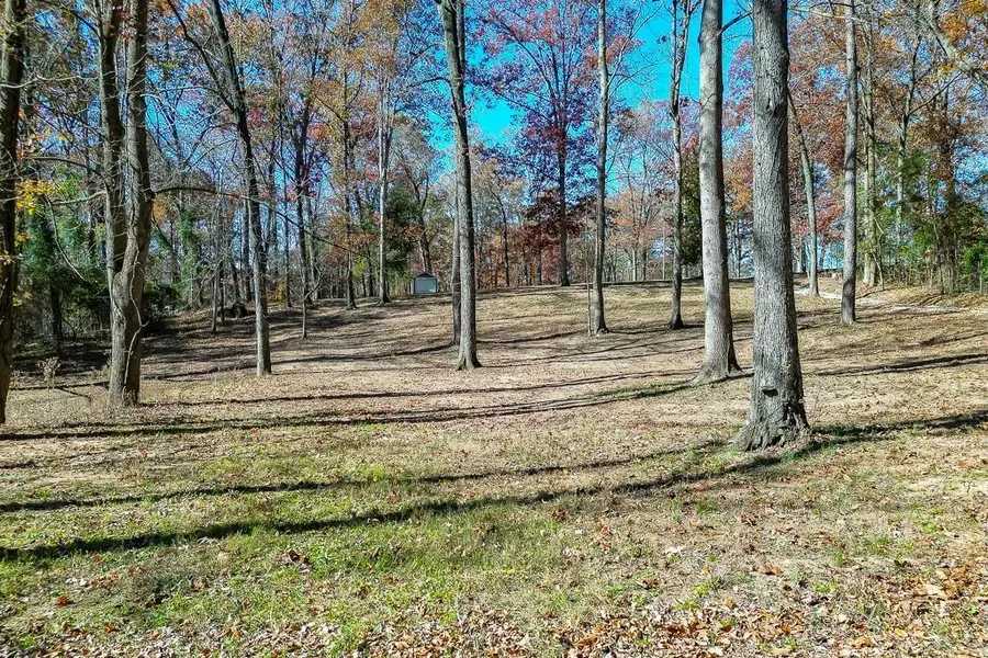 131 Canix Lane, Hoschton, GA 30548 - Image #3