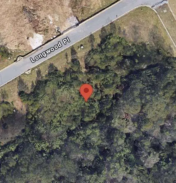 425 Longwood Place, Dallas, GA 30132 - #2