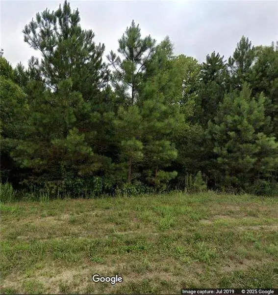 425 Longwood Place, Dallas, GA 30132 - #3