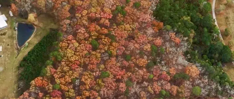 0 Bailey Circle, Loganville, GA 30052 - Image #1