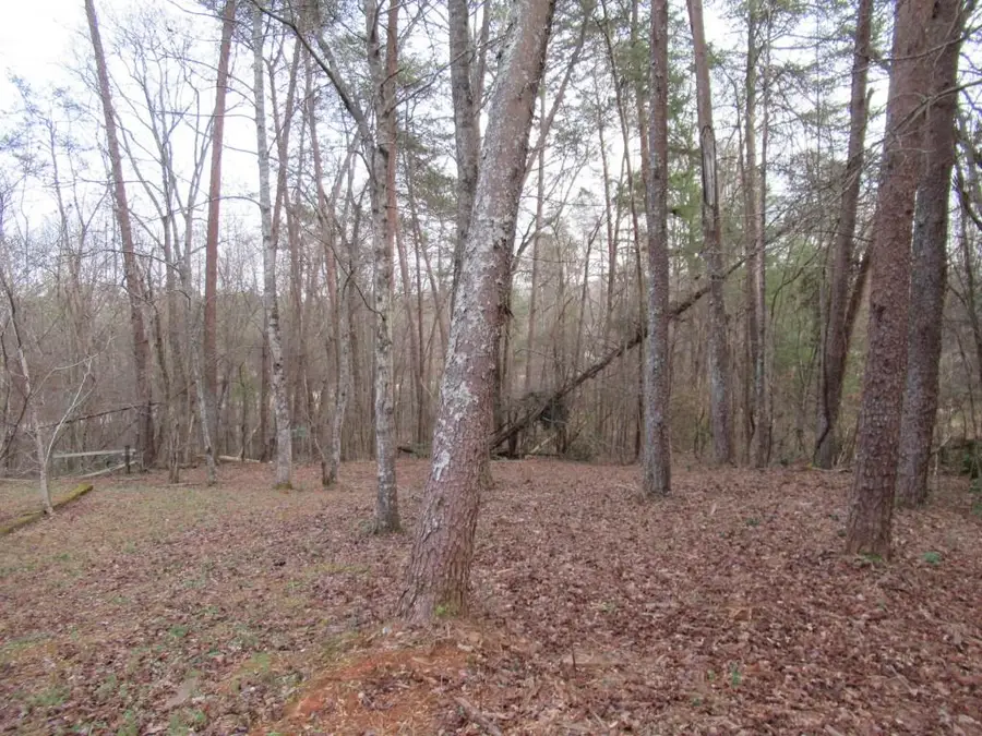 61 Berry Patch Lane, Cleveland, GA 30528 - Image #2