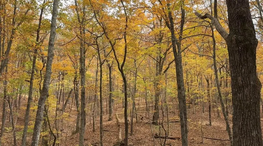 0 Super Deluxe Road, Rockmart, GA 30153 - #1