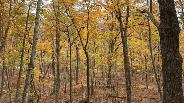 0 Super Deluxe Road, Rockmart, GA 30153