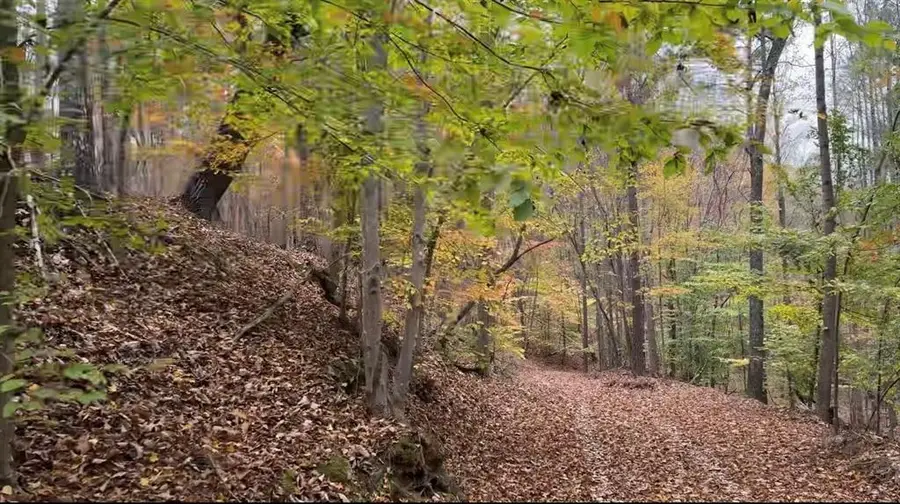 0 Super Deluxe Road, Rockmart, GA 30153 - #2