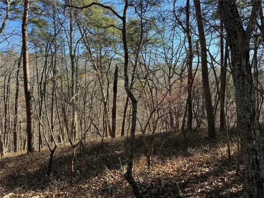 1493 Derby Court Ne, Ranger, GA 30734 - #2